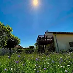 Vines & Views * Voegtlinshoffen