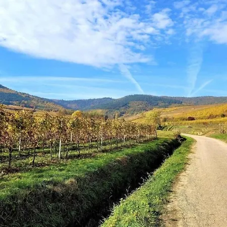 Vines & Views Apartment Voegtlinshoffen