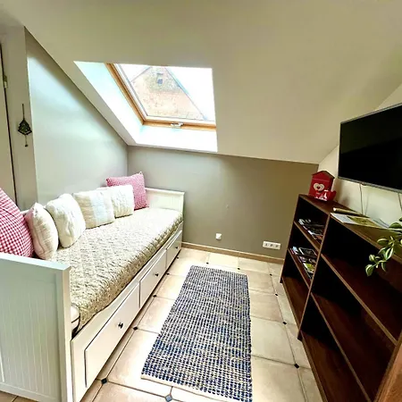 Rose Des Vignes Apartment Voegtlinshoffen