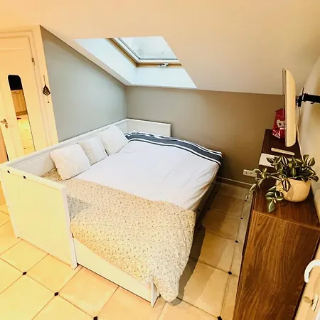 Vines & Views Voegtlinshoffen