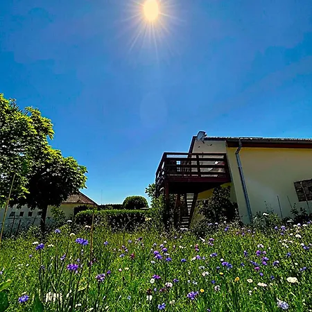 Vines & Views - With Airconditioning * Voegtlinshoffen
